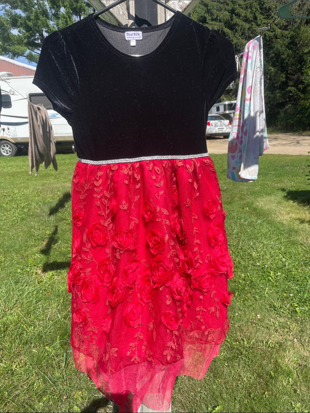 Blueberi Boulevard Black Velvet Top with Red Floral Lined Tulle Dress